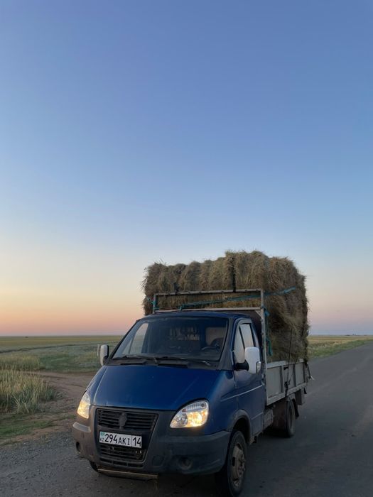 Продам сено житняк в руках