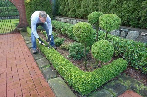 Газон автополив уход растений gazon avtosug'orish tizimi