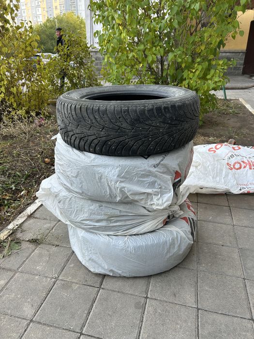 Зимних шиповный шин