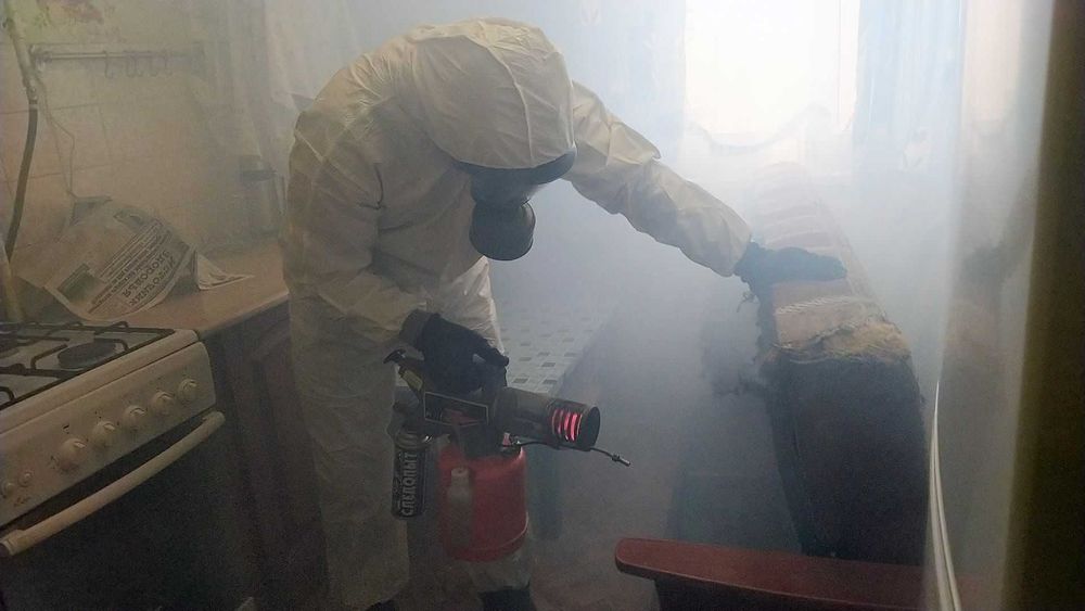 Дезинфекция насекомых Dezinfeksiya klopa клопа клапа таракан 24 soat