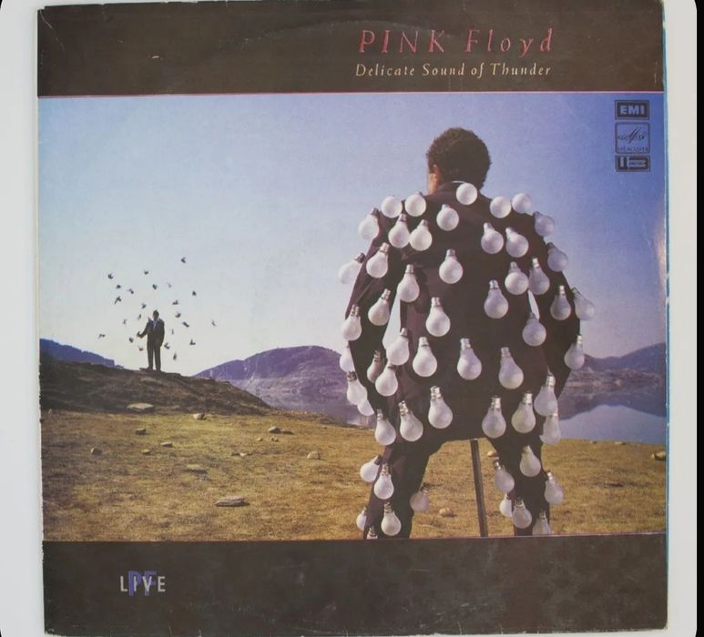 Пластинка  винил