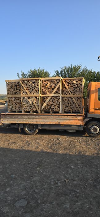 Lemn foc Fag paletizat 800 lei paletu