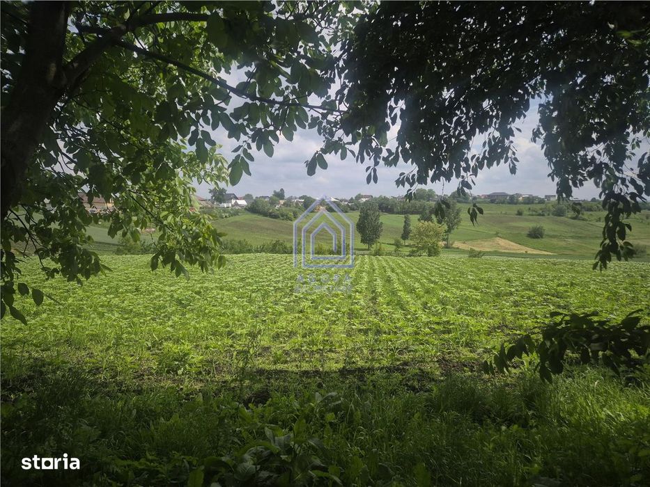 Teren intravilan Moara Nica - zona Scolii