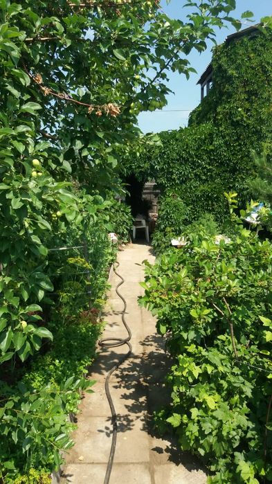 Продам дачу в с/о Борки