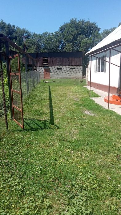 Продам дом в селе Турген