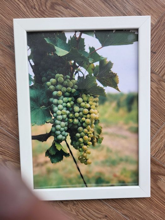 Сувениры из Грузии продаю.