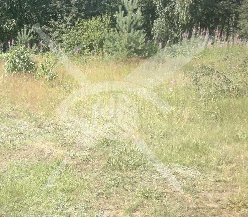 Парцел Беломорски 59896