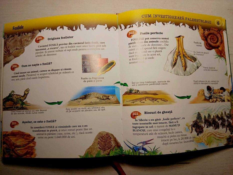 Enciclopedie pentru copii - 1000 de curiozitati despre animale