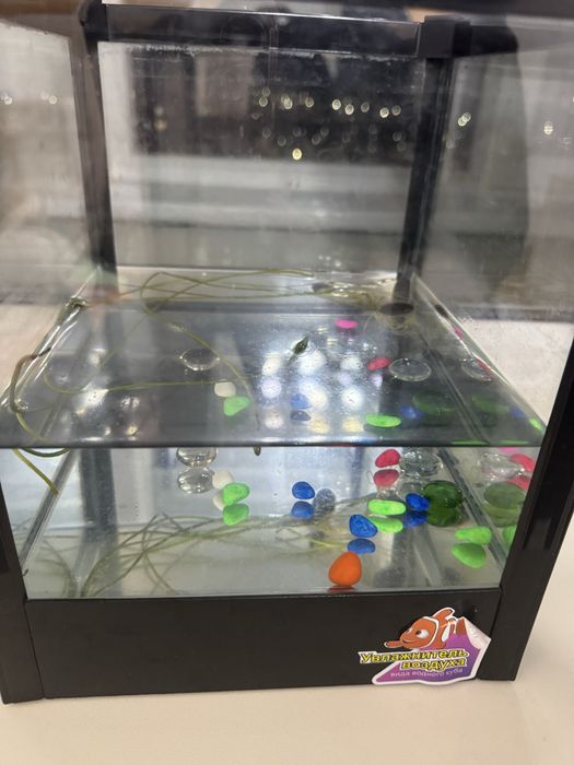 Увлажнитель воздуха