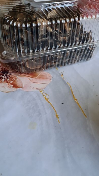 Грецкие Перегородки