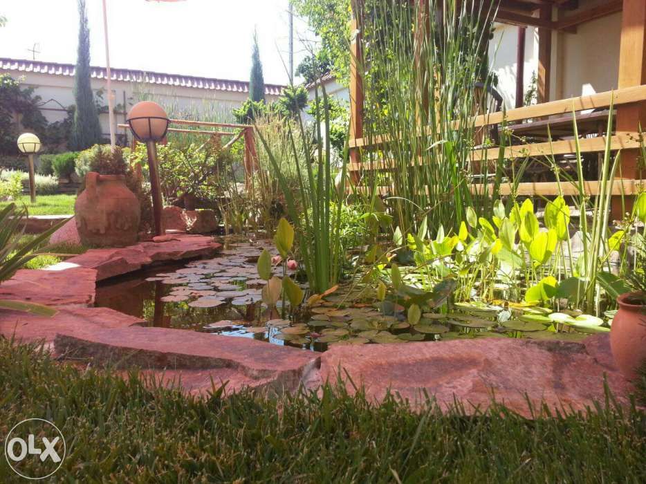 Загородный дом. Прописка. Район Паркента пл. 6 сот.От города 22 км.