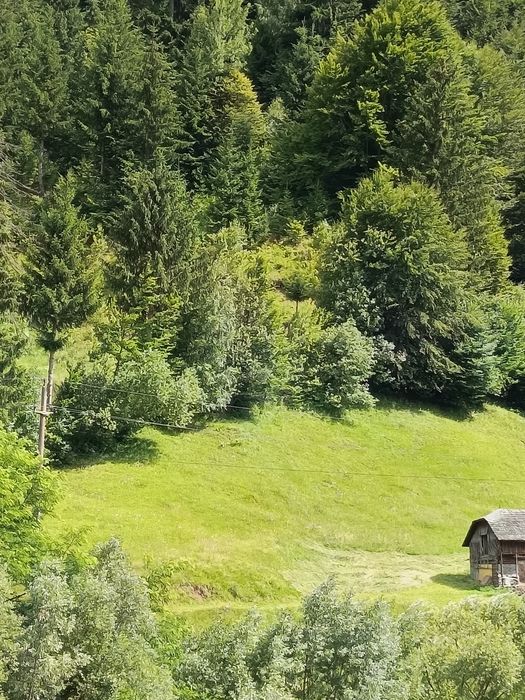 Teren intravilan