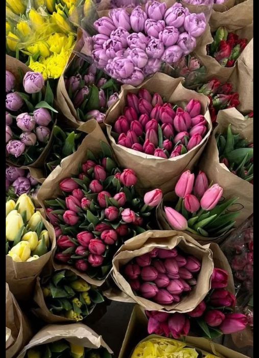 Тюльпаны на праздники в розницу
