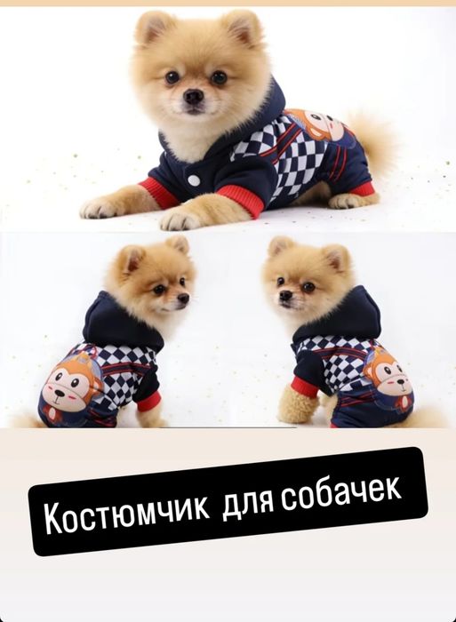 Комбинезон для собак и кошек