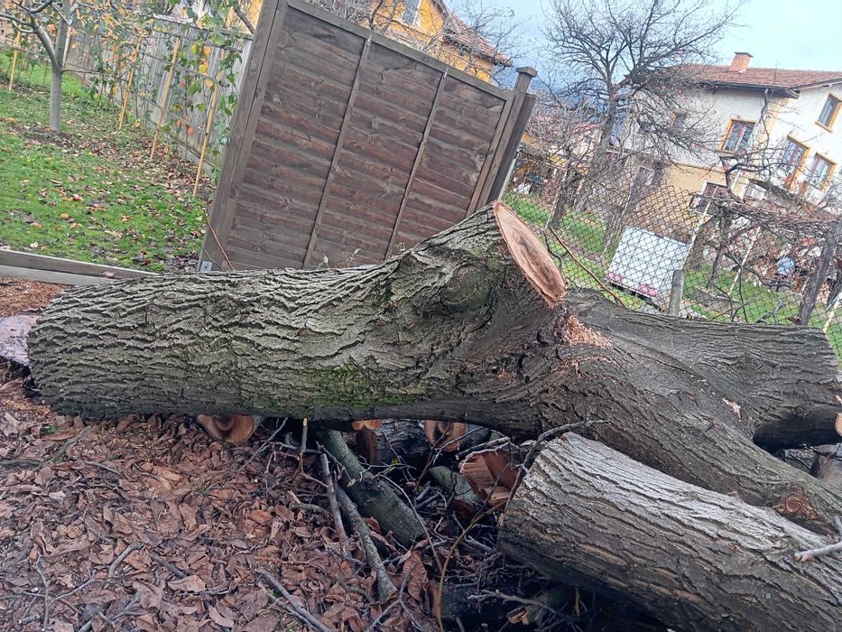 Продава се орех!