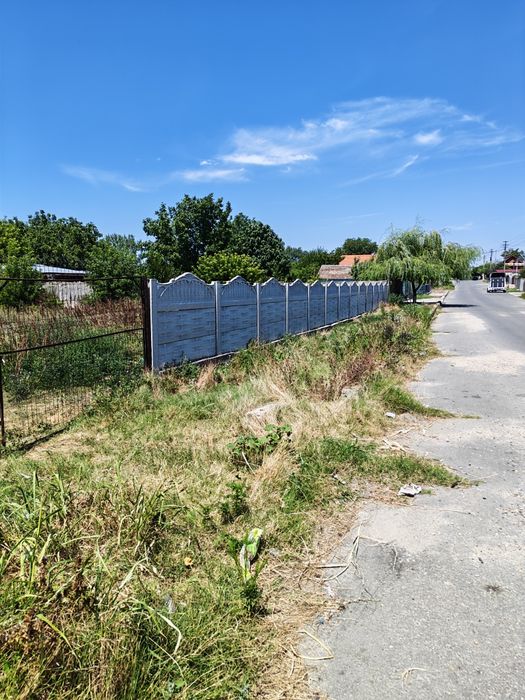 Vând teren intravilan în Calafat - 2500 mp