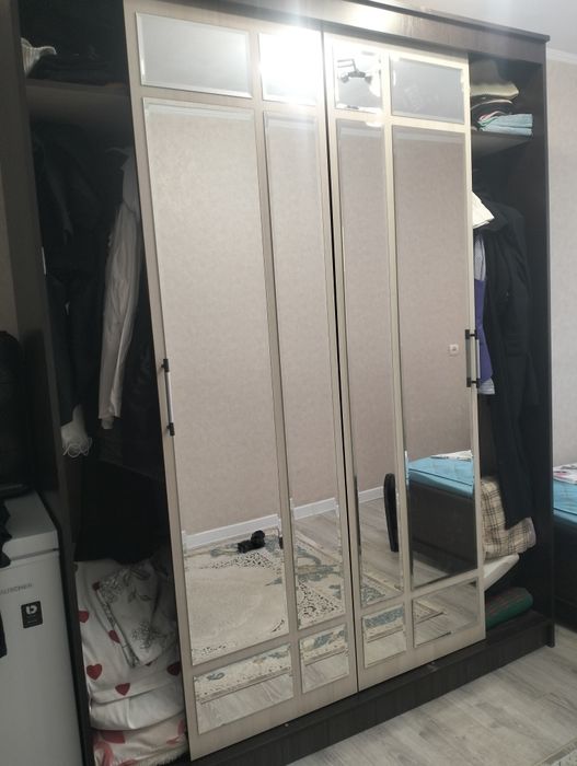 Шкаф для одежды с зеркалом