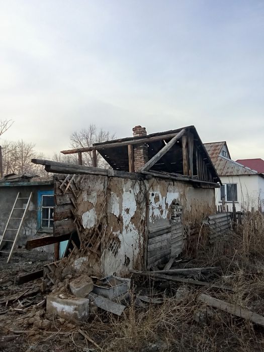 Бесплатно дрова  бесплатно