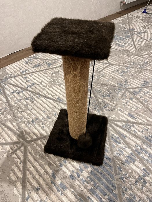 когтиточка для кота ,кошки