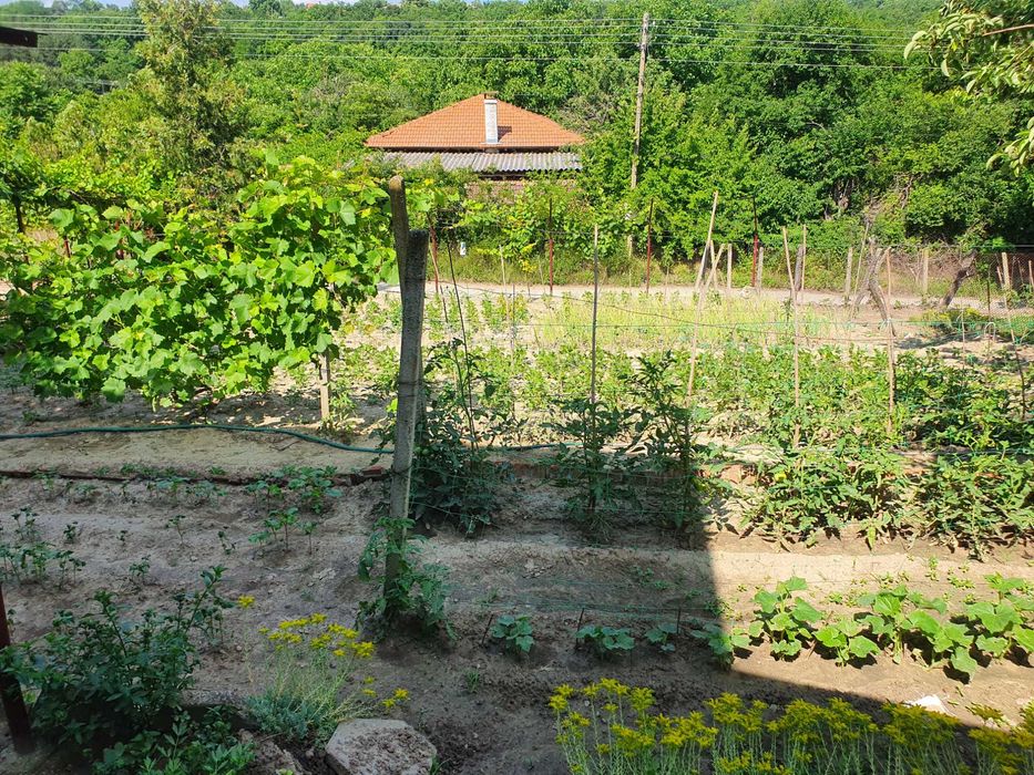 Къща с кьошк с.Ветрен