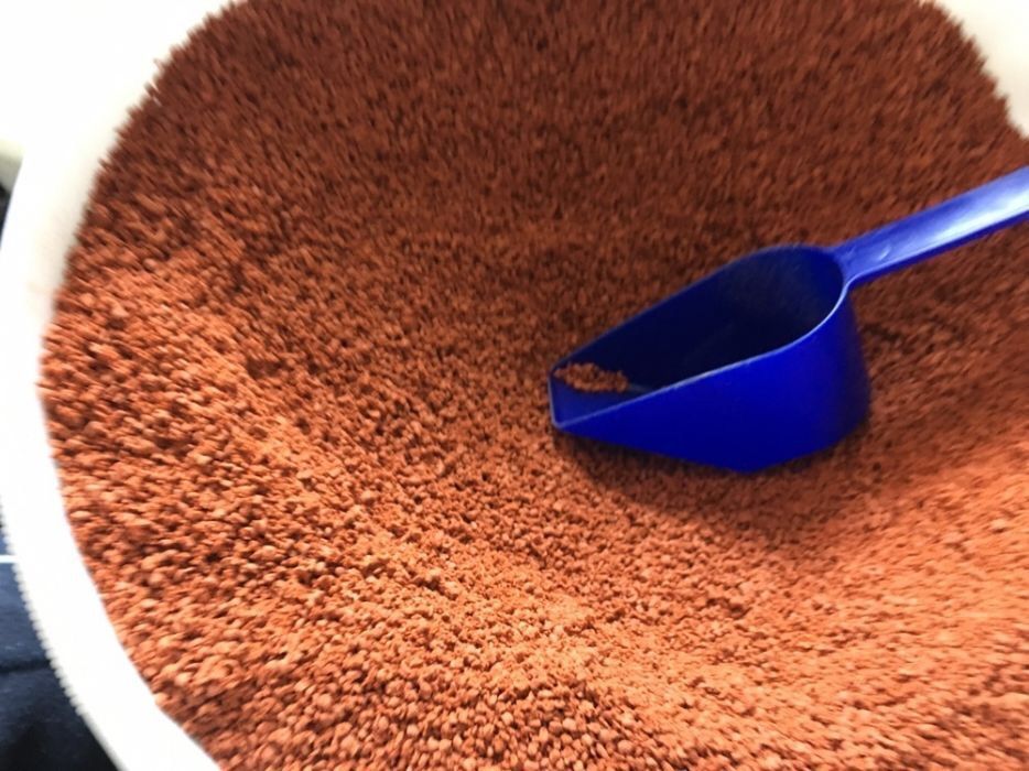 Hrana-mancare pesti exotici- diferite granulatii si tipuri per specie ...