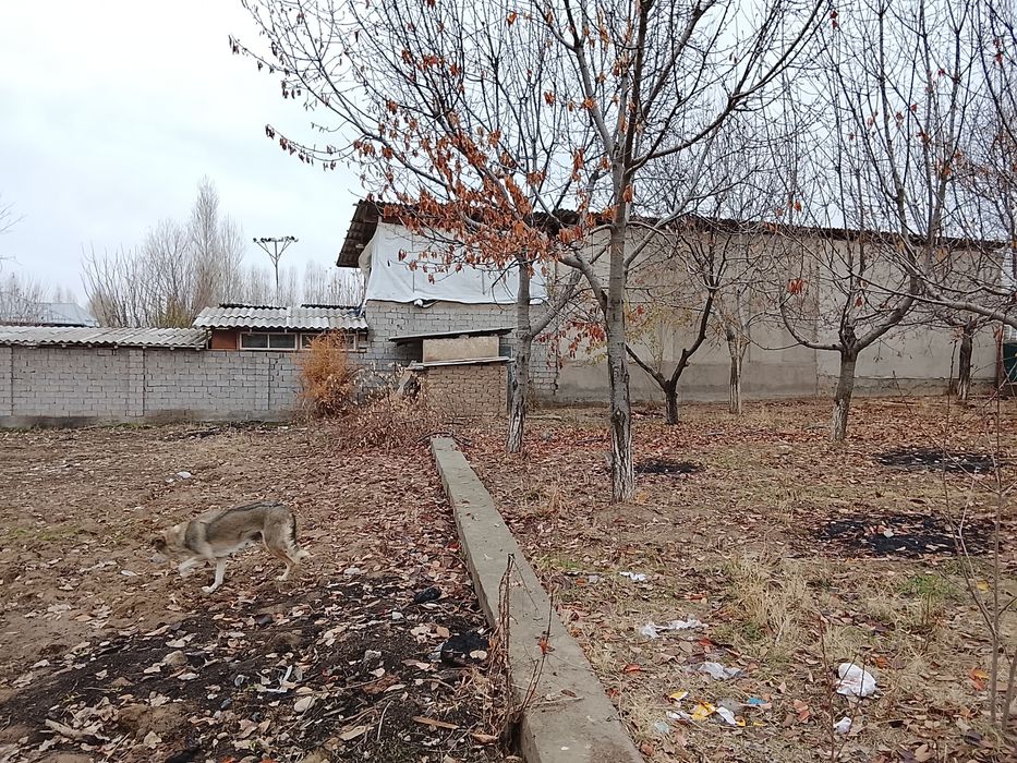 Ер участка сотилади 3 сотих