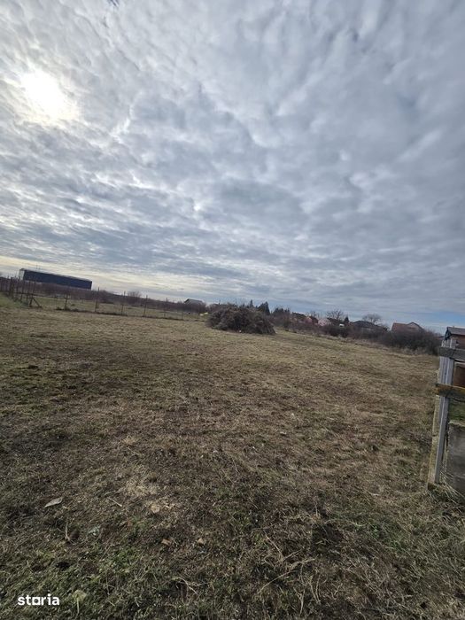 Loc de casa 500 mp, F.S. 20 ml, loc. Bodrogu Nou (com. Zadareni)