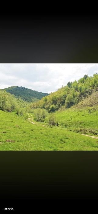 De vanzare teren la munte pentru cabana!Suprafata 439 mp 11.000euro