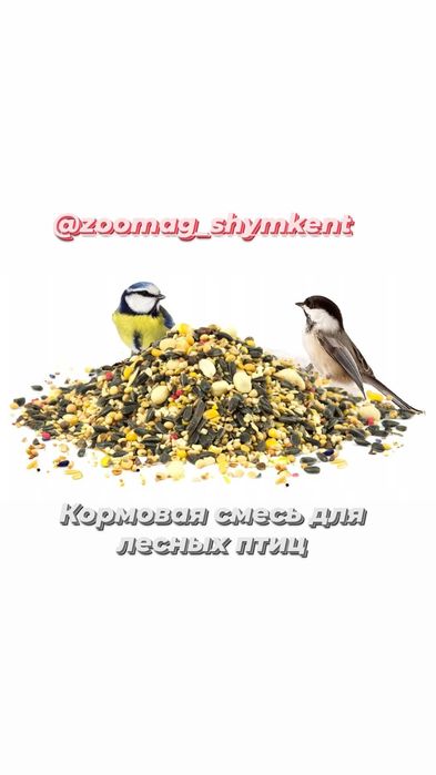 Корм для канарейк и диких птиц