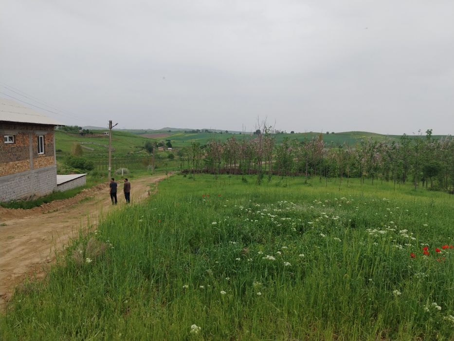 Дуслик дача жума базар ориентир 6 сотик кадастр есть