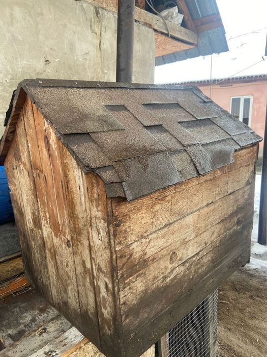 Продам бутку для собак