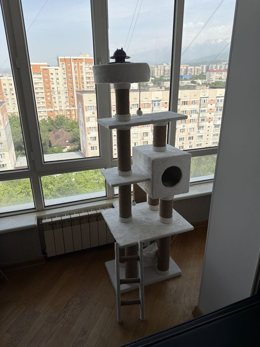 Когтеточка для кошек, домик для кошек и котят.