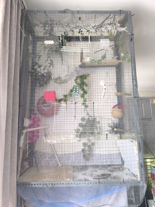 Клетка большая с попугаями