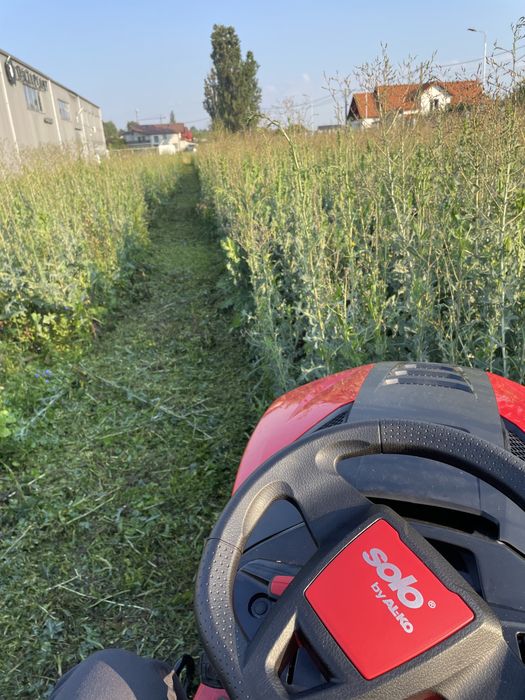 Defrisare vegetatie/iarba terenuri si livezi cu tocator profesional