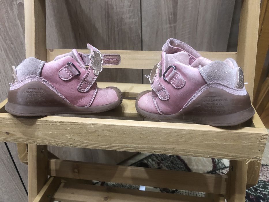 Biomecanics nr 20 fetite