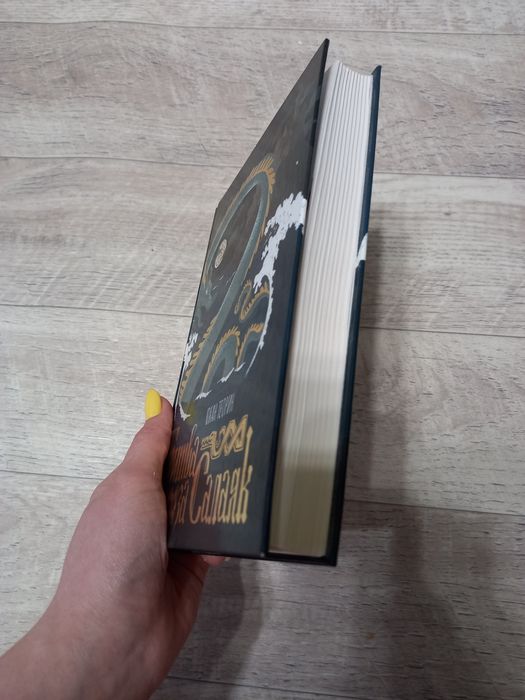 "Битва за Салаяк" книга