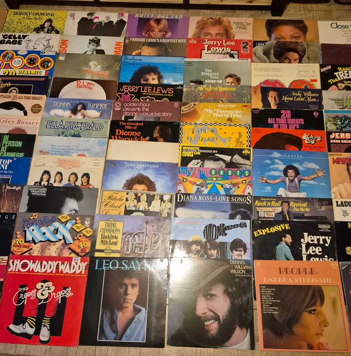 Lot 100 Viniluri