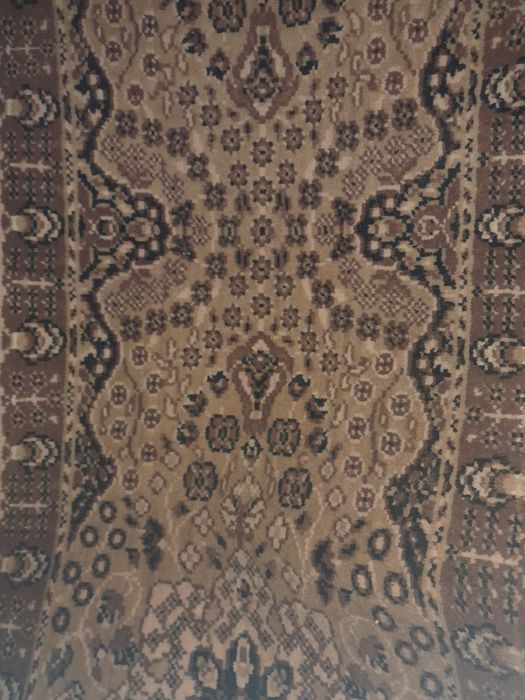 Чисто нова пътека