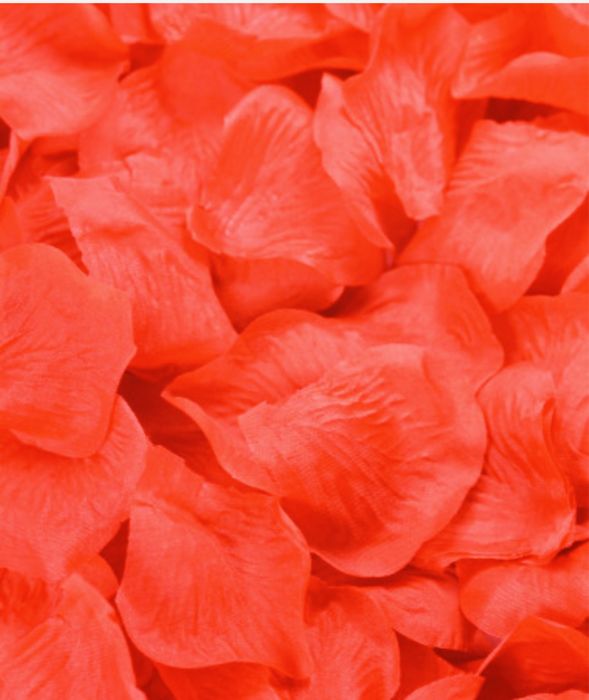 Лепестки роз