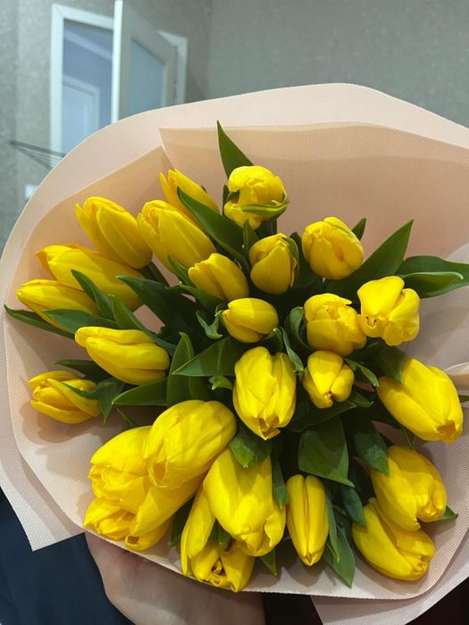 цветы тюльпаны 25 шт