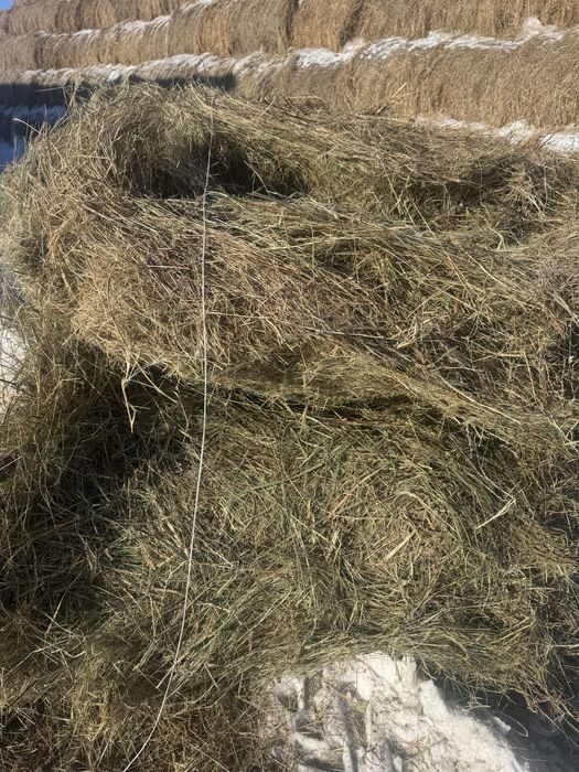 Продам сено луговое в рулонах