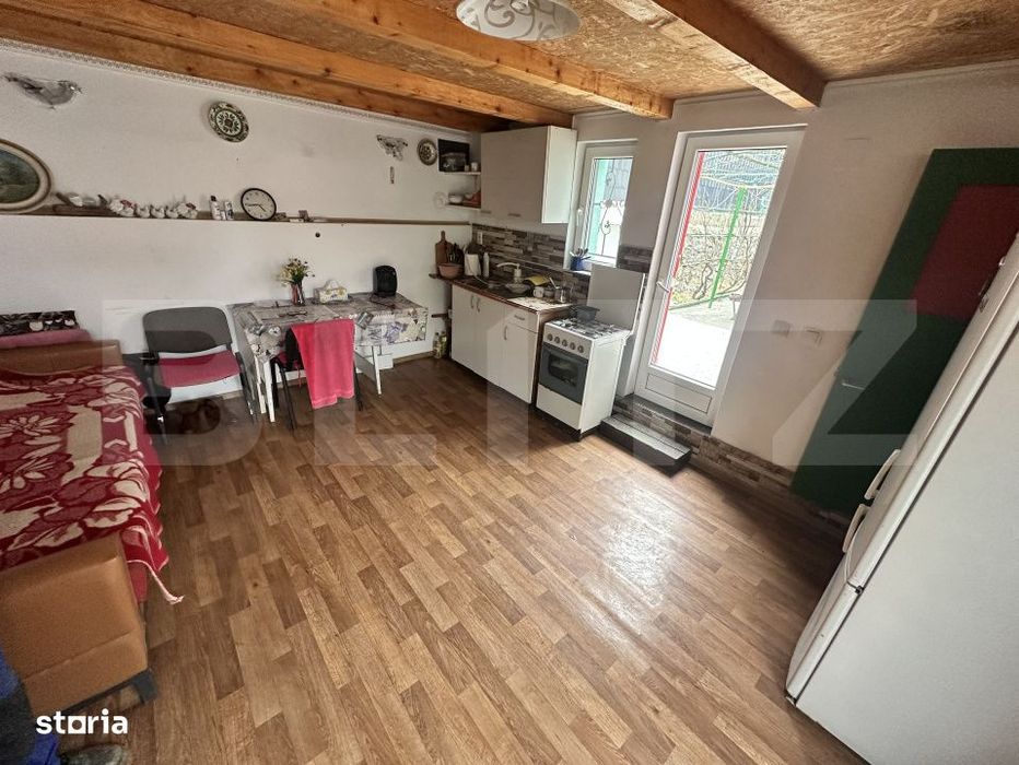 Apartament de locuit + atelier auto + terasa si curte generoasa