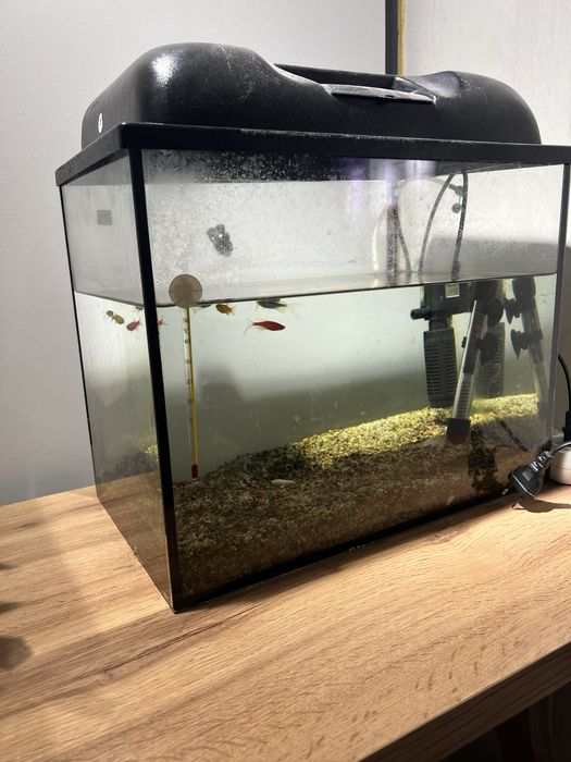 Аквариум сатам қымбат емес