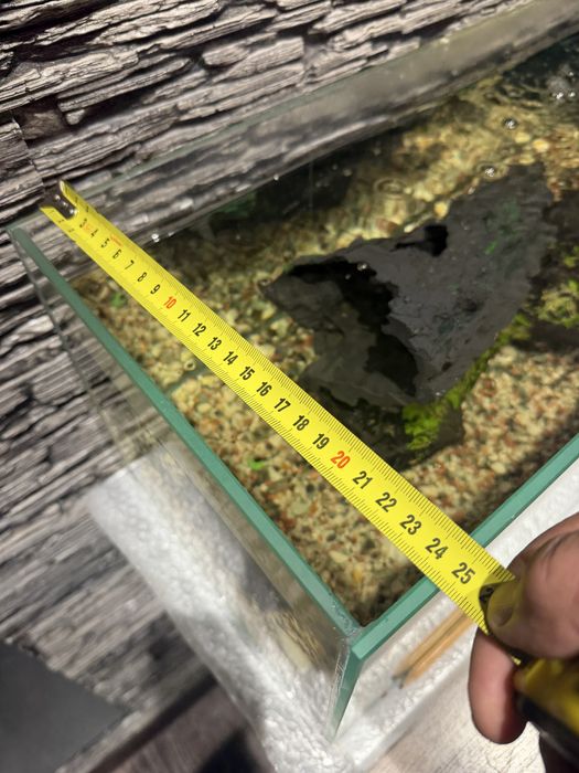 Аквариум на 40 литров