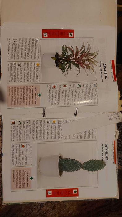 Зелен дом списание