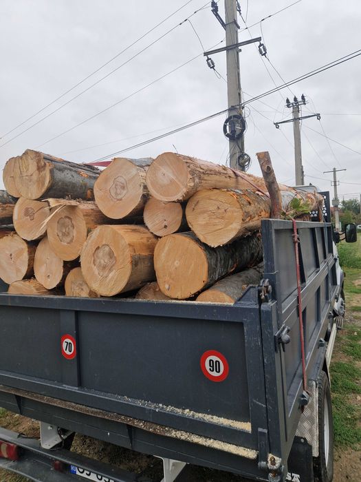 Lemn foc esență tare