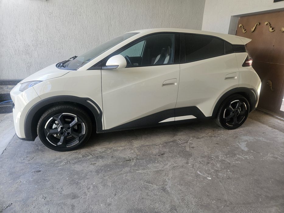 Sirchna Sotiladi Massla