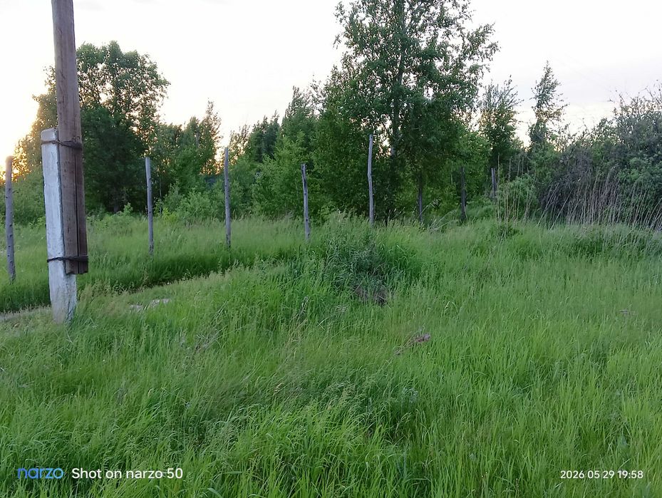 Продам два земельных участка