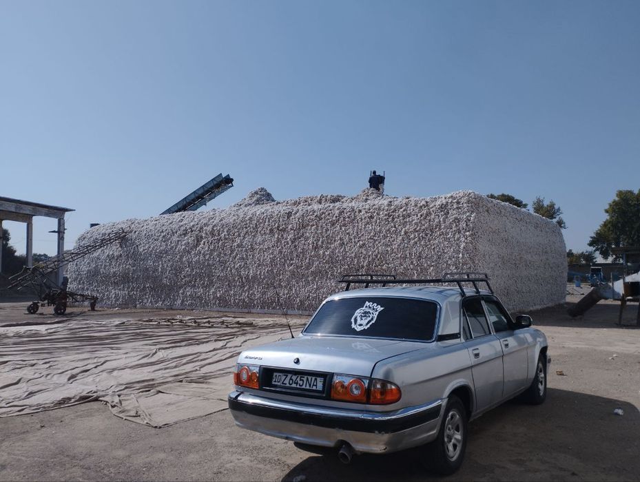 Volga 31105 zmz mator