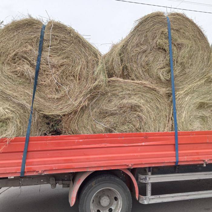Сено житняк, лютцерна рулоны .